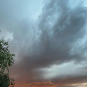 Meet your Posher, Jing